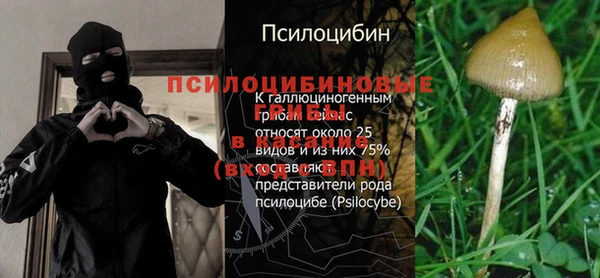 spice Арсеньев