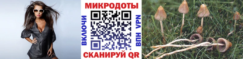 Псилоцибиновые грибы Psilocybe  даркнет сайт  Старый Крым 